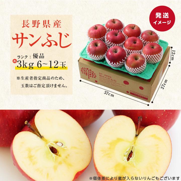 山下屋荘介 【即日出荷中】 長野県産 りんご サンふじ 優品 3kg