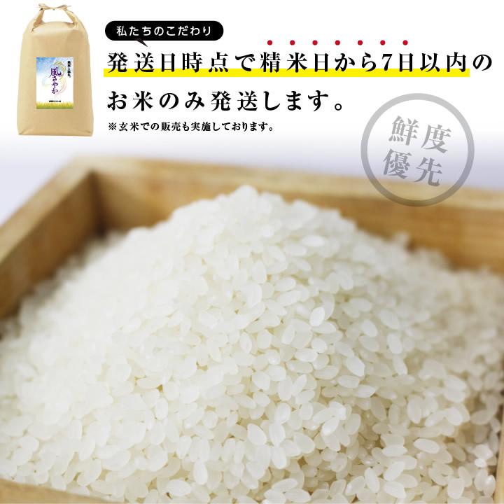 新米 お米 5kg 送料無料 長野県産 風さやか 令和5年度産 精米 クリーン米 ( 無洗米 相当 ) 玄米 長野県オリジナル米 | 白米 5キロ 米 冷めてもおいしい｜so-suke｜09