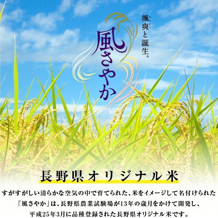 新米 お米 10kg 送料無料 長野県産 風さやか 令和5年度産 精米 クリーン米 ( 無洗米 相当 ) 玄米 長野県オリジナル米 | 白米 10キロ 米 冷めてもおいしい｜so-suke｜02