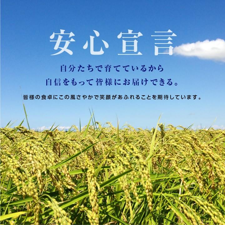 新米 お米 10kg 送料無料 長野県産 風さやか 令和5年度産 精米 クリーン米 ( 無洗米 相当 ) 玄米 長野県オリジナル米 | 白米 10キロ 米 冷めてもおいしい｜so-suke｜13