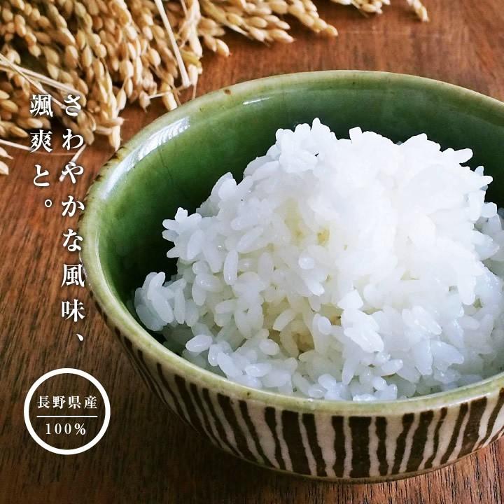 山下屋荘介 米 新米 10kg 送料無料 長野県産 風さやか 令和6年度 山下屋荘介 米 新米 10kg 送料無料 長野県産 風さやか 令和6年度