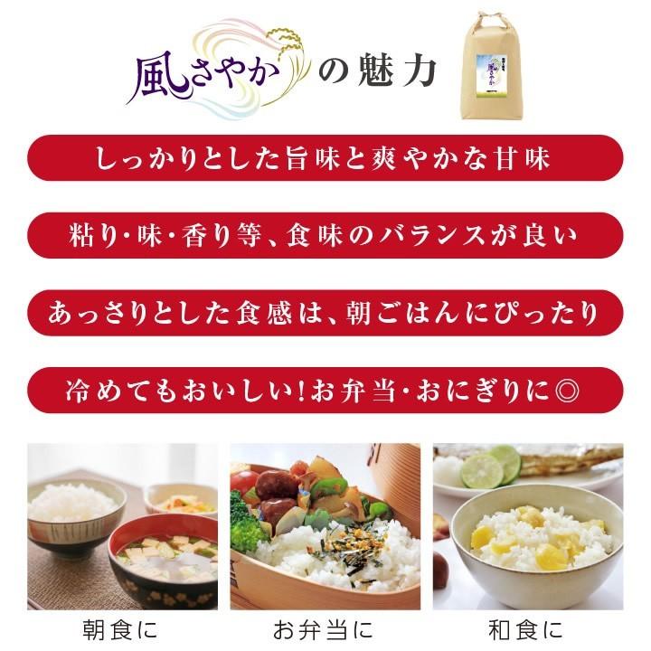 山下屋荘介 米 新米 10kg 送料無料 長野県産 風さやか 令和6年度 山下屋荘介 米 新米 10kg 送料無料 長野県産 風さやか 令和6年度