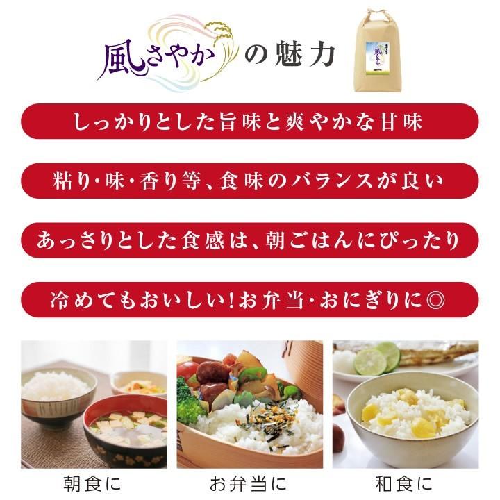 新米 お米 10kg 送料無料 長野県産 風さやか 令和5年度産 精米 クリーン米 ( 無洗米 相当 ) 玄米 長野県オリジナル米 | 白米 10キロ 米 冷めてもおいしい｜so-suke｜04