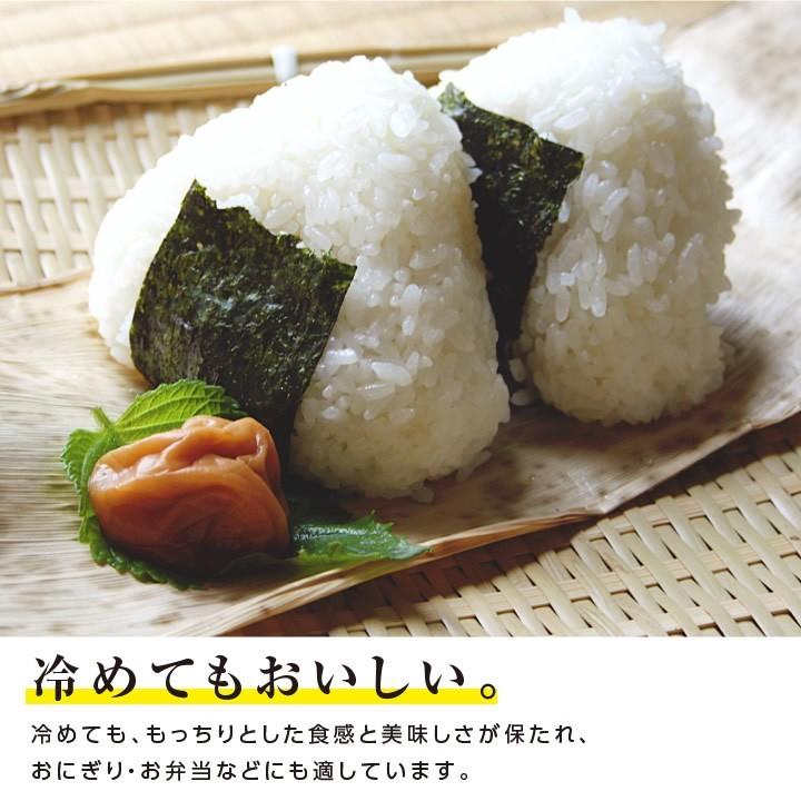 新米 お米 10kg 送料無料 長野県産 風さやか 令和5年度産 精米 クリーン米 ( 無洗米 相当 ) 玄米 長野県オリジナル米 | 白米 10キロ 米 冷めてもおいしい｜so-suke｜06