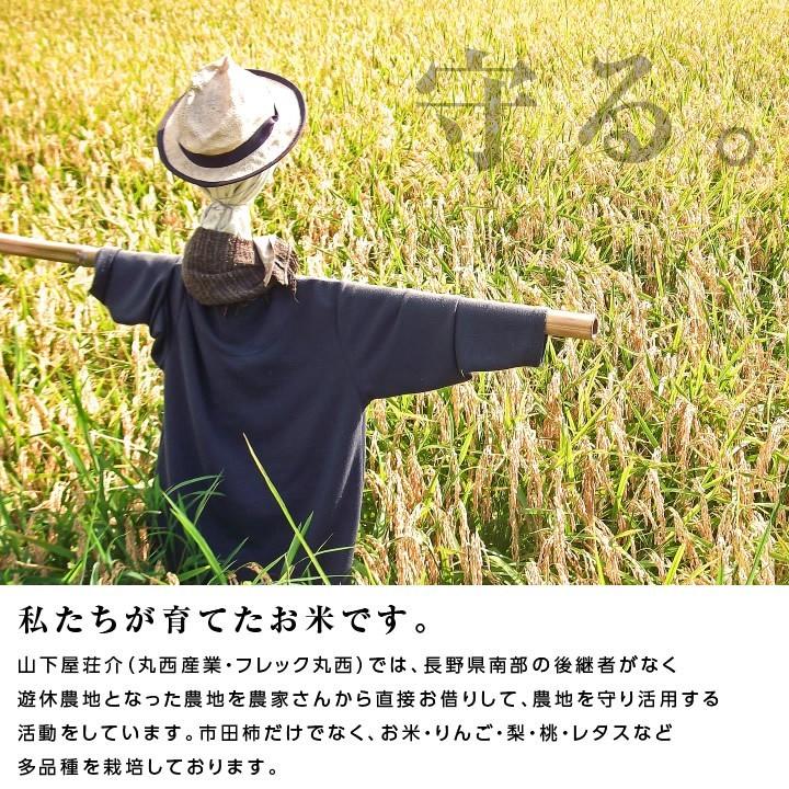 たいちあき様専用 ☆送料込み☆長野県産☆R6年産☆ 風