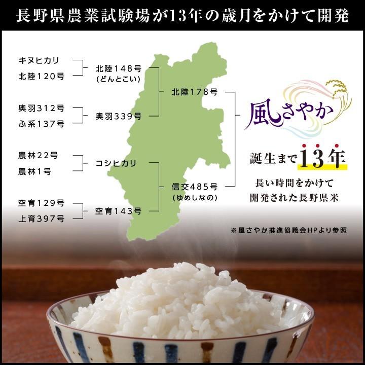 山下屋荘介 米 新米 10kg 送料無料 長野県産 風さやか 令和7年度産