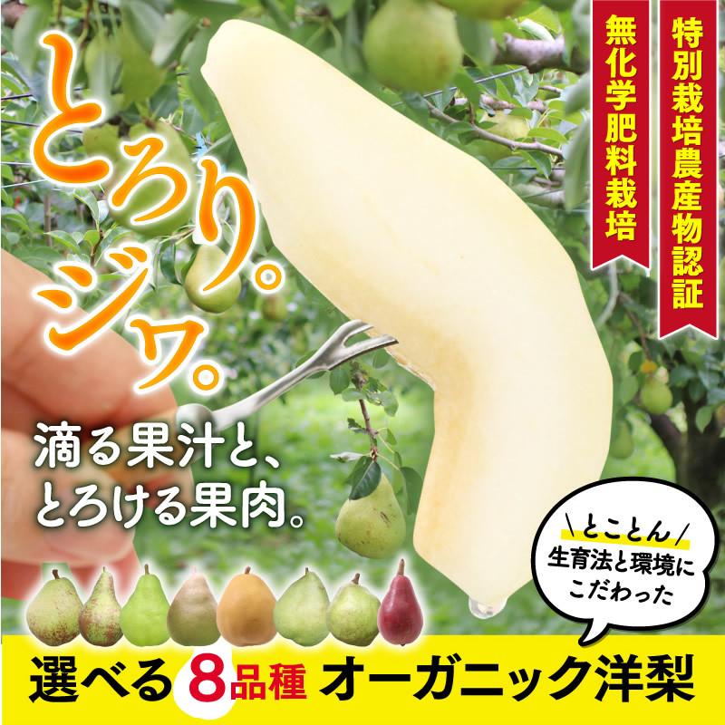 山下屋荘介 洋梨 3kg 秀品 長野産 ラフランス スタークリムソン