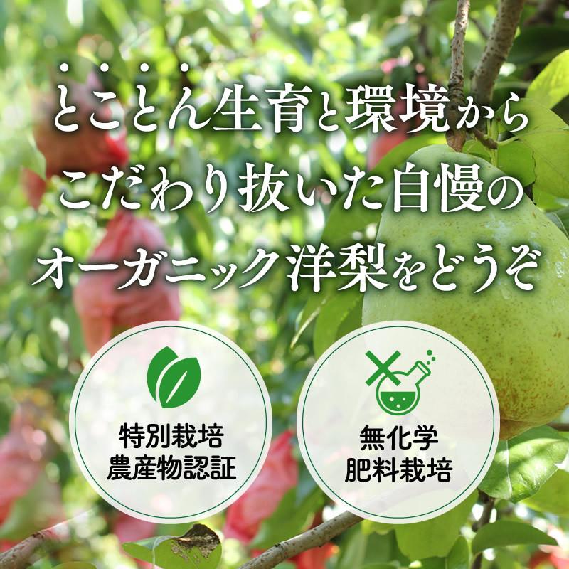 【洋梨さん専用】プラナロム クラリセージBIO5ml＋他3品 楽天市場】プラナロム クラリセージの通販