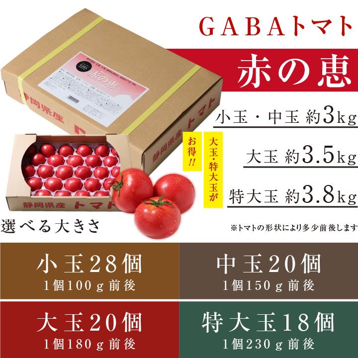トマト GABA 静岡県産 送料無料 機能性表示食品 赤の恵 約3~3.8kg 産地直送 血圧高め 健康維持におすすめ とまと 桃太郎ヨーク 樹上完熟｜so-suke｜16