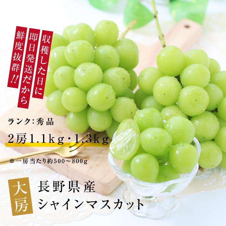 山下屋荘介 シャインマスカット 長野県産 1.3kg 2房 秀品 朝採り