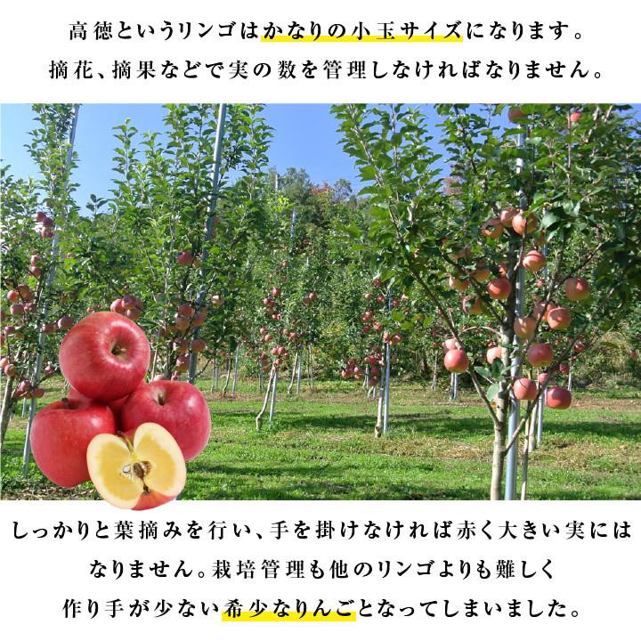 ◇特大箱◇ 幻の林檎高徳希少りんご青森県産クロネコ便