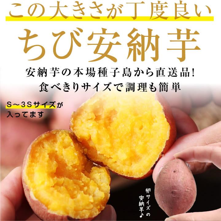 山下屋荘介 さつまいも ちび安納芋 5kg 種子島産 S〜3Sサイズ 60 山下屋荘介 さつまいも ちび安納芋 5kg 種子島産 S〜3Sサイズ 60