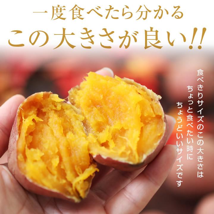 山下屋荘介 さつまいも ちび安納芋 5kg 種子島産 S〜3Sサイズ 60 山下屋荘介 さつまいも ちび安納芋 5kg 種子島産 S〜3Sサイズ 60