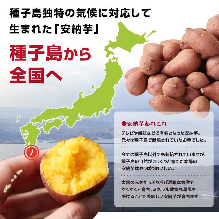 山下屋荘介 さつまいも ちび安納芋 5kg 種子島産 S〜3Sサイズ 60〜80個