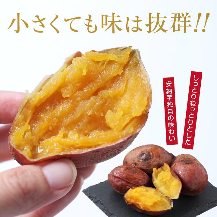 山下屋荘介 さつまいも ちび安納芋 5kg 種子島産 S〜3Sサイズ 60 山下屋荘介 さつまいも ちび安納芋 5kg 種子島産 S〜3Sサイズ 60