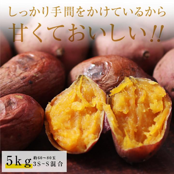 山下屋荘介 さつまいも ちび安納芋 5kg 種子島産 S〜3Sサイズ 60〜80個