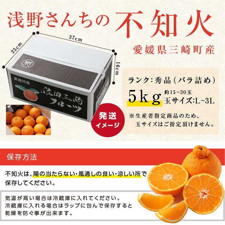 山下屋荘介 不知火 秀品 愛媛産 5kg L〜3L 産地直送 浅野農園 樹上完熟