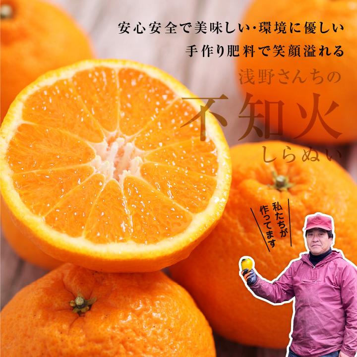 Safak様　農家直送　完全天日干し　よくばりセット！3kg 空港で出会う新たな日本土産】日本の四季折々の風景を描いた〈Japanese