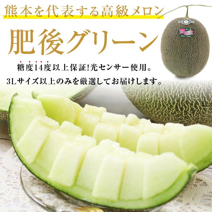 山下屋荘介 肥後グリーン メロン 熊本県産 糖度14度保証 3L 2玉 生産者