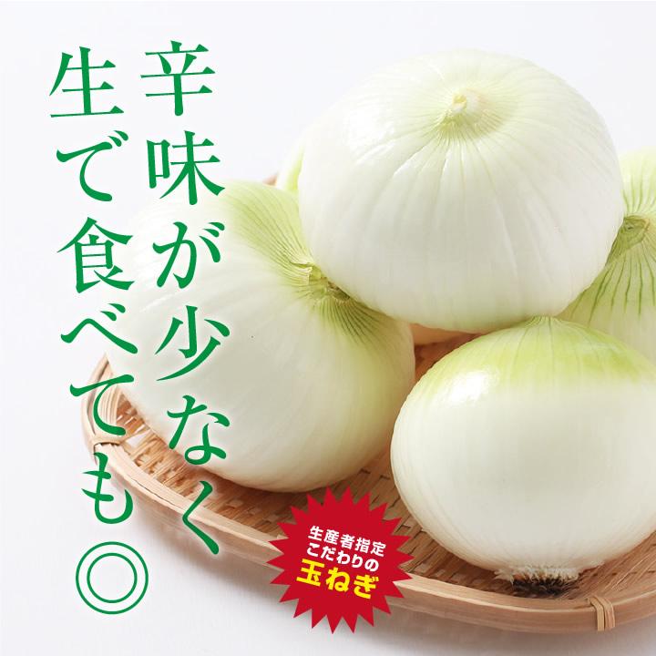 新玉ねぎ 千葉県 白子町産 10kg 大玉厳選 産地直送 古山商店 送料無料 大玉限定 お徳用 辛味が少ない 肉厚 白子玉ねぎ 玉ねぎ タマネギ -S05T たまねぎ｜so-suke｜14