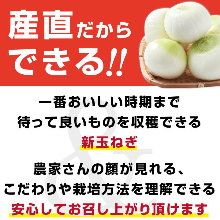 新玉ねぎ 千葉県 白子町産 10kg 大玉厳選 産地直送 古山商店 送料無料 大玉限定 お徳用 辛味が少ない 肉厚 白子玉ねぎ 玉ねぎ タマネギ -S05T たまねぎ｜so-suke｜15