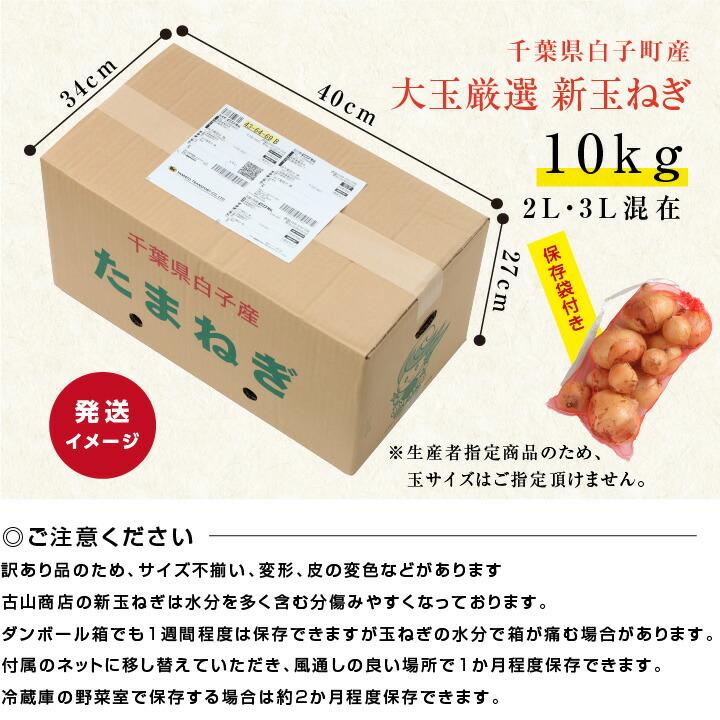 新玉ねぎ 千葉県 白子町産 10kg 大玉厳選 産地直送 古山商店 送料無料 大玉限定 お徳用 辛味が少ない 肉厚 白子玉ねぎ 玉ねぎ タマネギ -S05T たまねぎ｜so-suke｜19