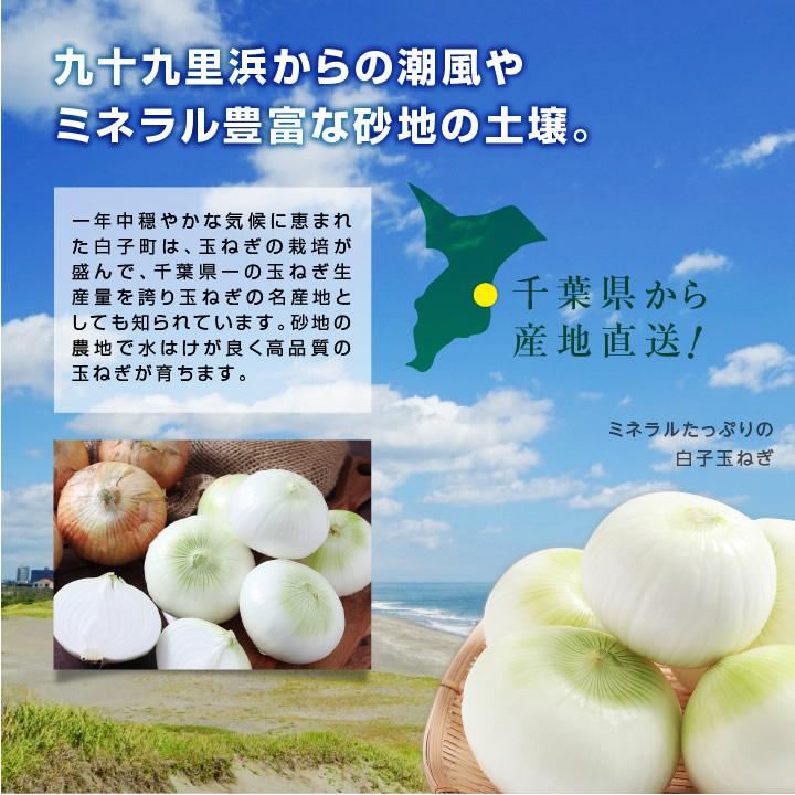 新玉ねぎ 千葉県 白子町産 10kg 大玉厳選 産地直送 古山商店 送料無料 大玉限定 お徳用 辛味が少ない 肉厚 白子玉ねぎ 玉ねぎ タマネギ -S05T たまねぎ｜so-suke｜09