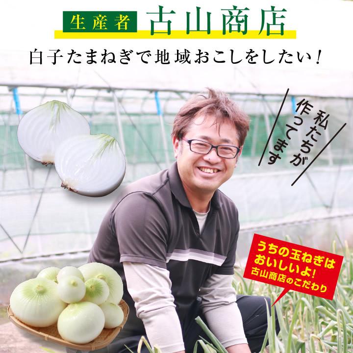 山下屋荘介 新玉ねぎ 千葉県 白子町産 10kg 訳あり 産地直送 古山商店