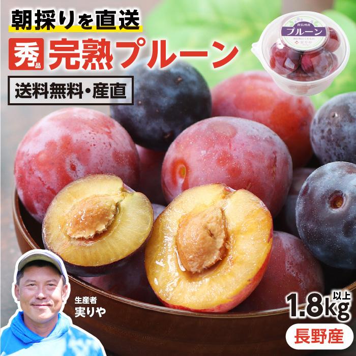 専用◆9月7日発送◆青森県産◆ベイラープルーン◆10kg img65174043.jpg