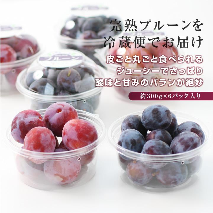 山下屋荘介 生プルーン プルーン 秀品 朝採り 長野県から産地