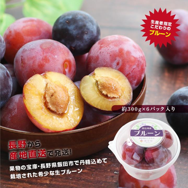 山下屋荘介 生プルーン プルーン 秀品 朝採り 長野県から産地