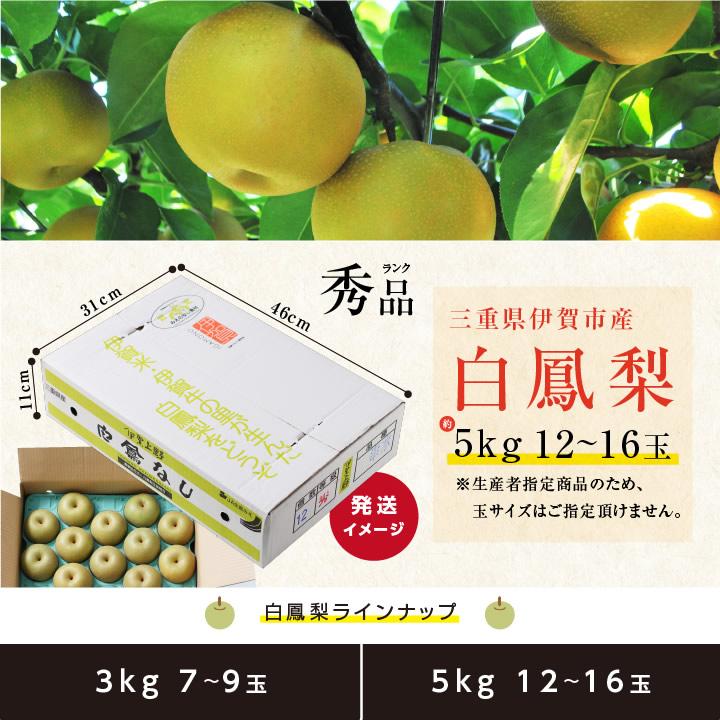 もも太様　山梨県産　至福の白鳳　EM栽培　3kg箱×2 山梨県産 桃 3kg箱（お買得品）】甘くて美味しい桃 【白鳳