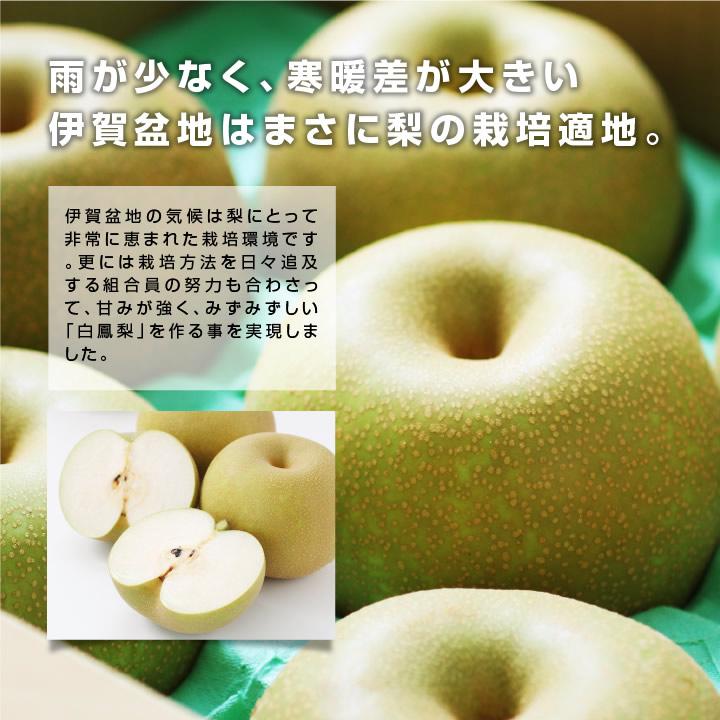 山下屋荘介 白鳳梨 三重県産 なし 5kg 秀品 幸水 豊水 2種から