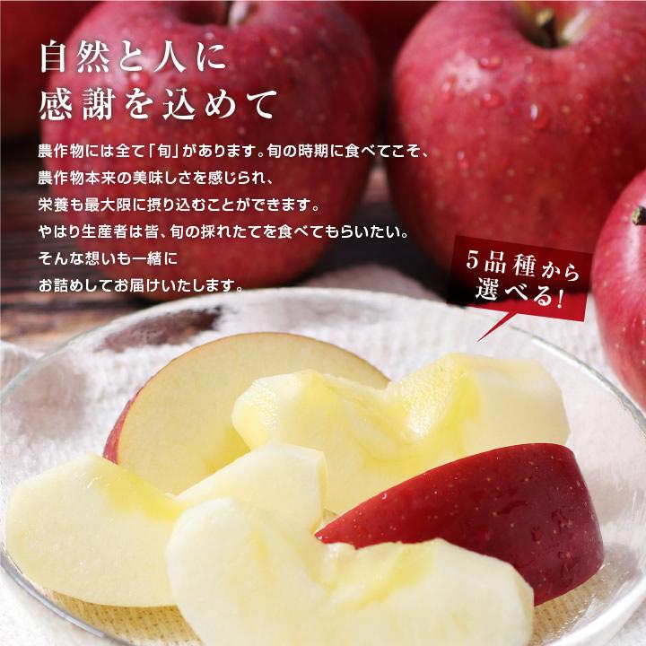 山下屋荘介 長野県産 りんご 秀品 3kg 8〜12玉 産地直送 完熟りんご