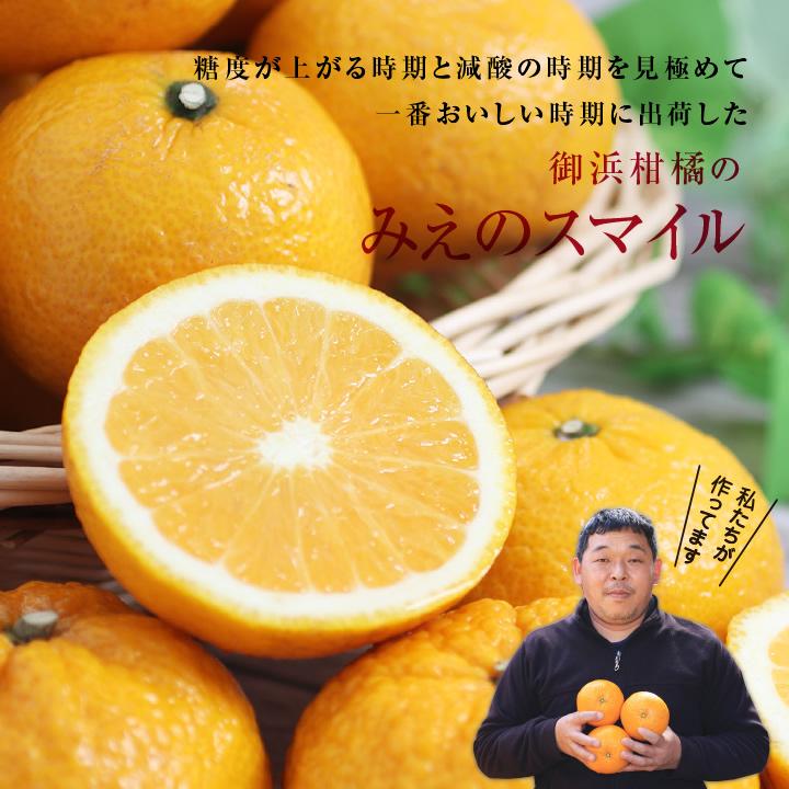 山下屋荘介 みえのスマイル 三重県産 訳あり 5kg L〜2Lサイズ 産地直送
