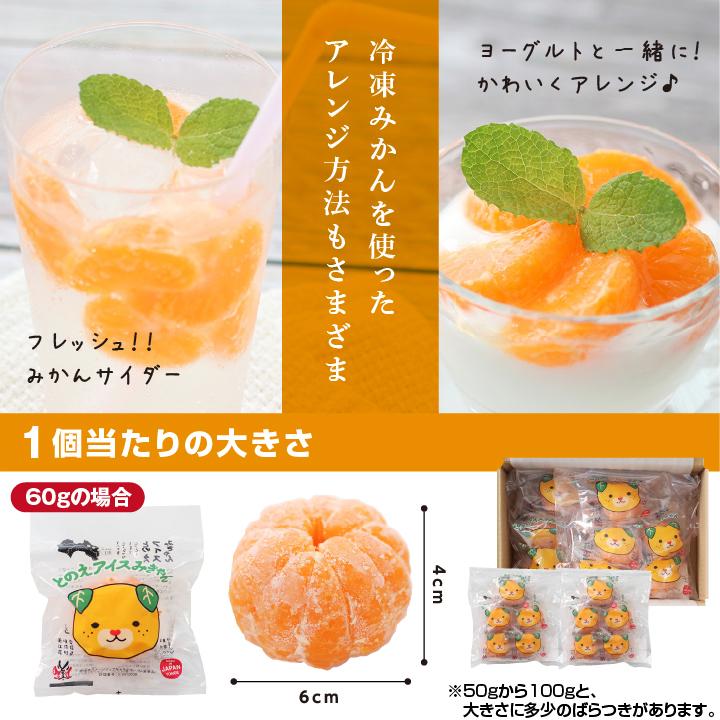 山下屋荘介 冷凍みかん 愛媛県産 10個 2セット購入で1セットおまけ