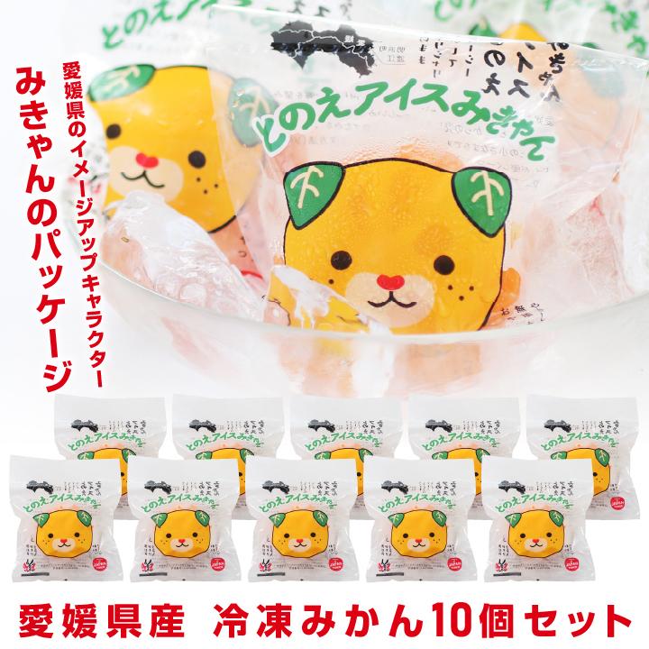 山下屋荘介 冷凍みかん 愛媛県産 10個 2セット購入で1セットおまけ