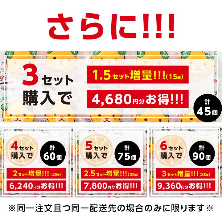 山下屋荘介 冷凍みかん 愛媛県産 10個 2セット購入で1セットおまけ