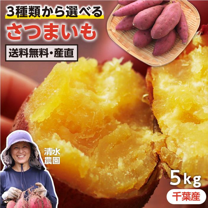 山下屋荘介 さつまいも 5kg 千葉県産 貯蔵熟成品 S〜2Sサイズ 山下屋荘介 さつまいも 5kg 千葉県産 貯蔵熟成品 S〜2Sサイズ