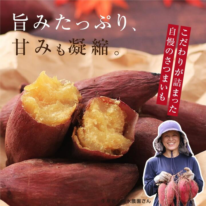 山下屋荘介 さつまいも 5kg 千葉県産 貯蔵熟成品 S〜2Sサイズ 山下屋荘介 さつまいも 5kg 千葉県産 貯蔵熟成品 S〜2Sサイズ