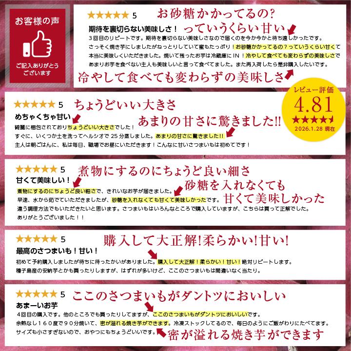 山下屋荘介 さつまいも 5kg 千葉県産 貯蔵熟成品 S〜2Sサイズ 甘い 紅