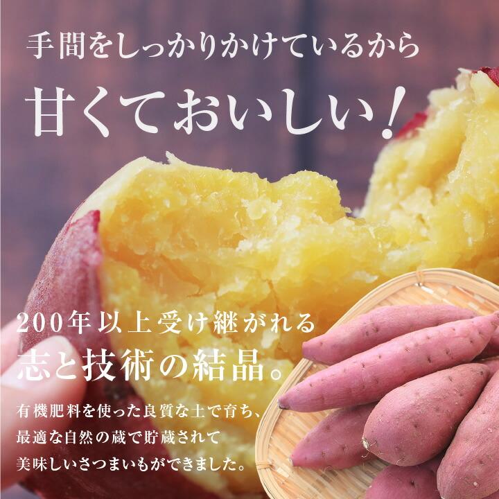 山下屋荘介 さつまいも 5kg 千葉県産 貯蔵熟成品 S〜2Sサイズ 山下屋荘介 さつまいも 5kg 千葉県産 貯蔵熟成品 S〜2Sサイズ