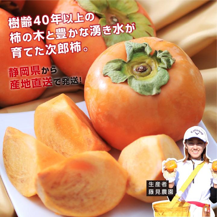 山下屋荘介 柿 次郎柿 約3.2kg 秀品 静岡県産 敷地産 大玉 L 14玉 2L