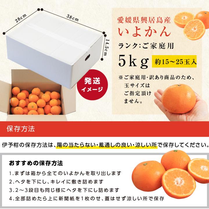 山下屋荘介 伊予柑 訳あり 5kg いよかん 愛媛県産 L〜3Lサイズ 送料