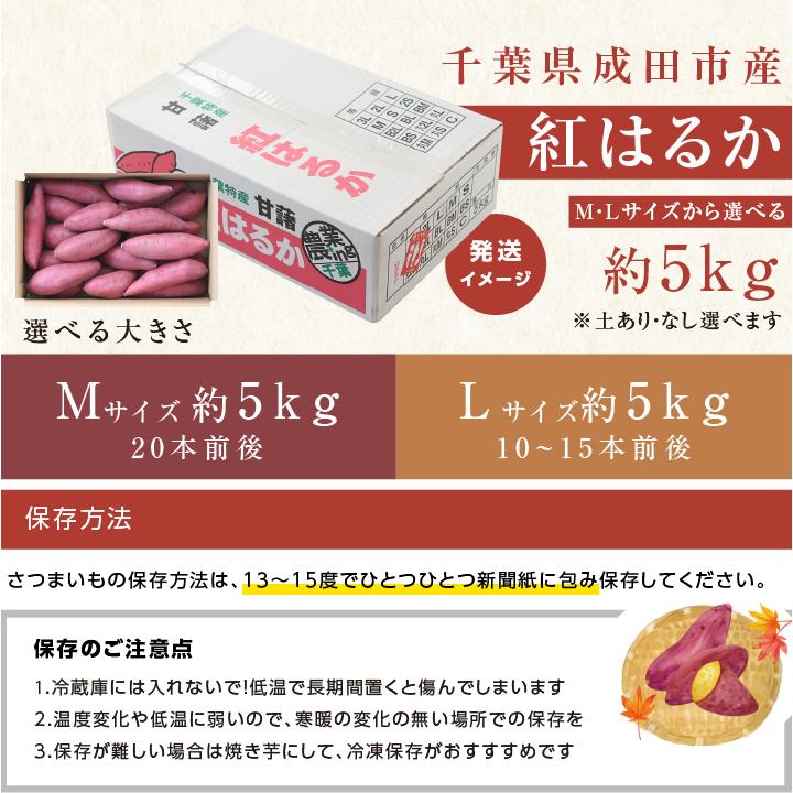 山下屋荘介 さつまいも 紅はるか 5kg 千葉県産 貯蔵熟成品 M・Lサイズ