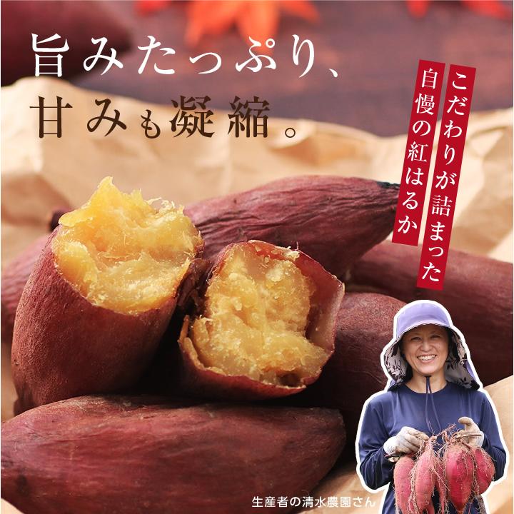 さつまいも 紅はるか 5kg 千葉県産 貯蔵熟成品 M・Lサイズ サイズ選べる -S01T 甘い 土付き 糖化 追熟済み 産地直送 送料無料 清水農園 プレゼント｜so-suke｜20