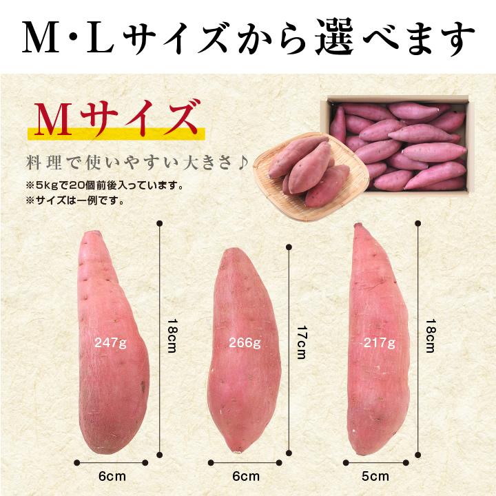 さつまいも 紅はるか 5kg 千葉県産 貯蔵熟成品 M・Lサイズ サイズ選べる -S01T 甘い 土付き 糖化 追熟済み 産地直送 送料無料 清水農園 プレゼント｜so-suke｜05