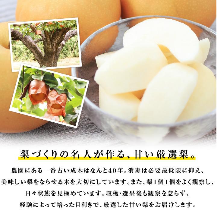 山下屋荘介 長野県産 梨 約3kg 秀品 6〜9玉 送料無料 幸水 南水 和梨