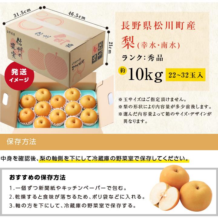 山下屋荘介 長野県産 梨 約10kg 秀品 22〜32玉 送料無料 幸水 南水