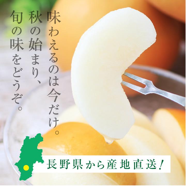 山下屋荘介 長野県産 梨 約10kg 秀品 22〜32玉 送料無料 幸水 南水